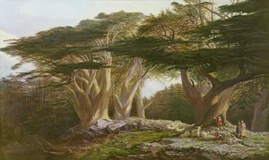 I cedri del Libano, 1861